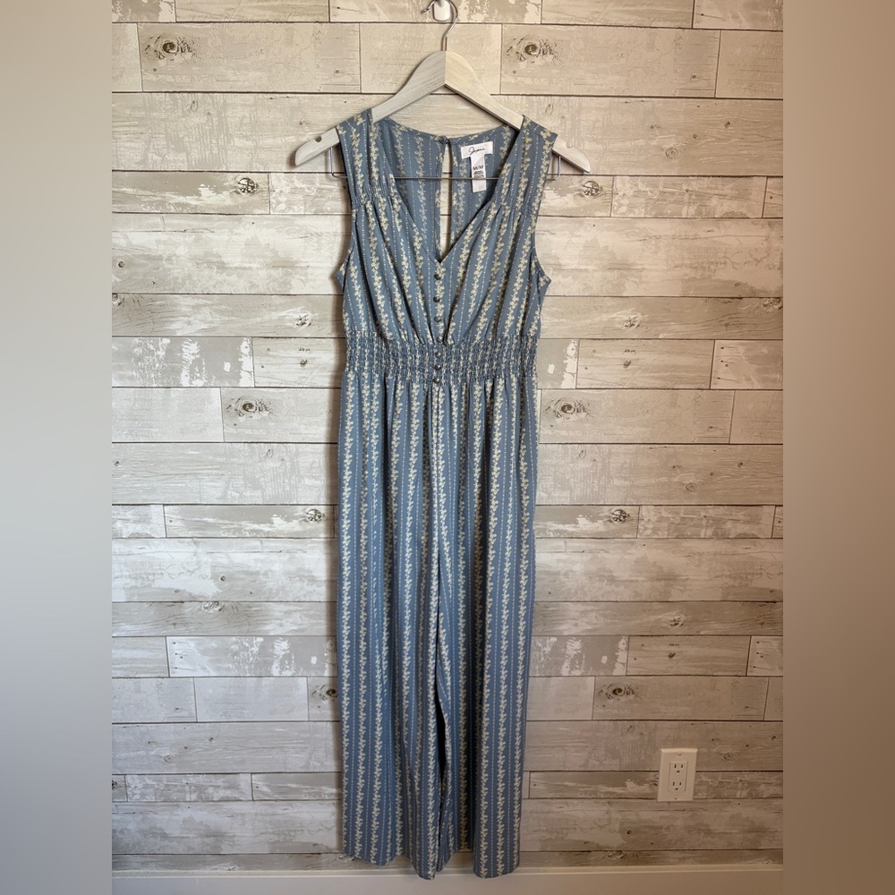Japna Blue and White Patterned Jumpsuit